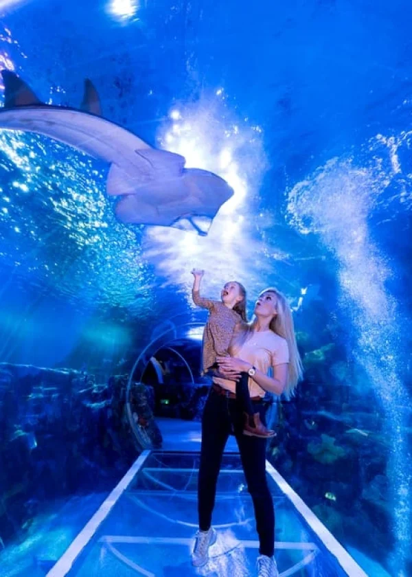 National Sea Life Centre Entrance Ticket